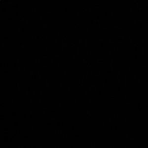 Meet your Posher, Ava